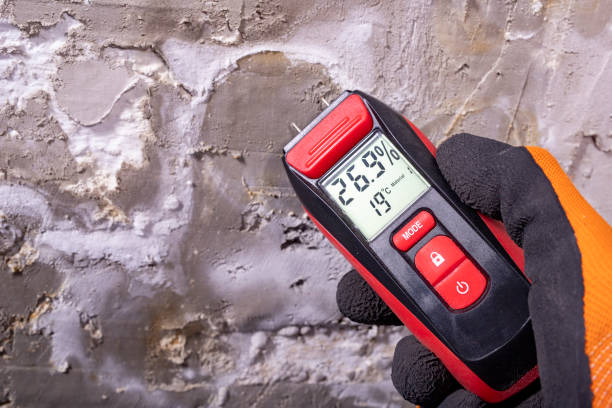 Best Office Mold Removal Services  in Crouch Mesa, NM